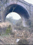 The 'skew' bridge